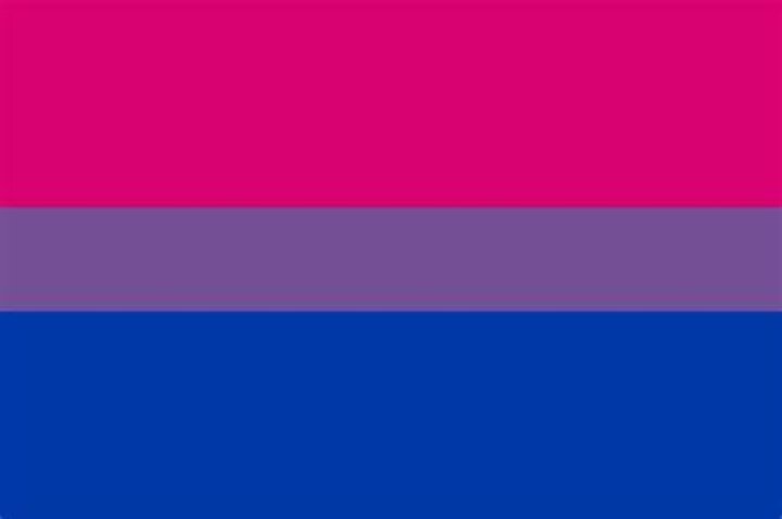 Bi Flag by EmeraldFlames97