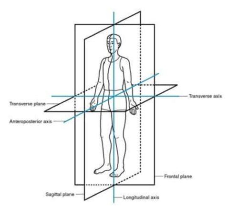 Figure 5 from Longitudinal and CrossSectional Evaluation of Two