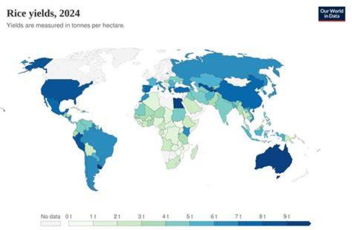 FileCondoleezza Rice cropped.jpg Wikimedia Commons