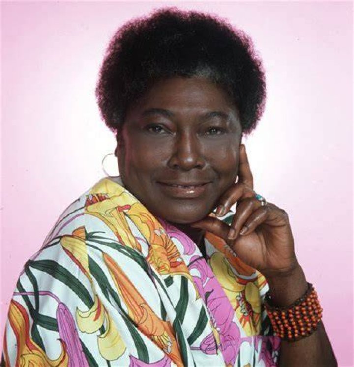 Florida On Good Times: A Journey Through Sunshine And Smiles