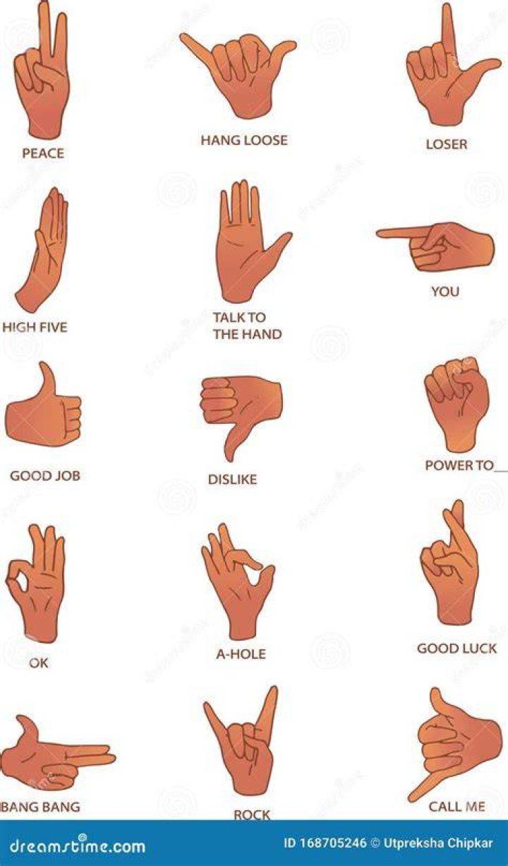 Hand Gestures and Signs Meanings in Urdu Grammareer