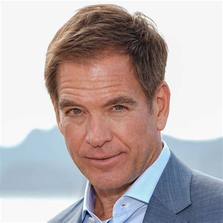 Image of Michael Weatherly