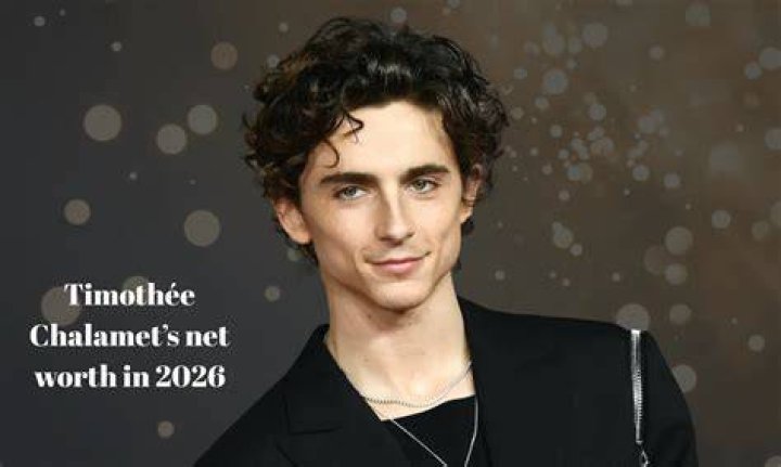 Timoth&eacute;e Chalamet Age, Biography, Height, Place of Birth, News & Photos