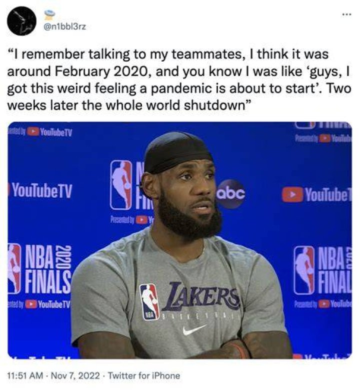 Unpacking The Phenomenon Of The LeBron James Meme