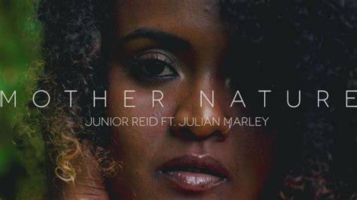 Unraveling The Mystery: Who Is Julian Marley's Mother?